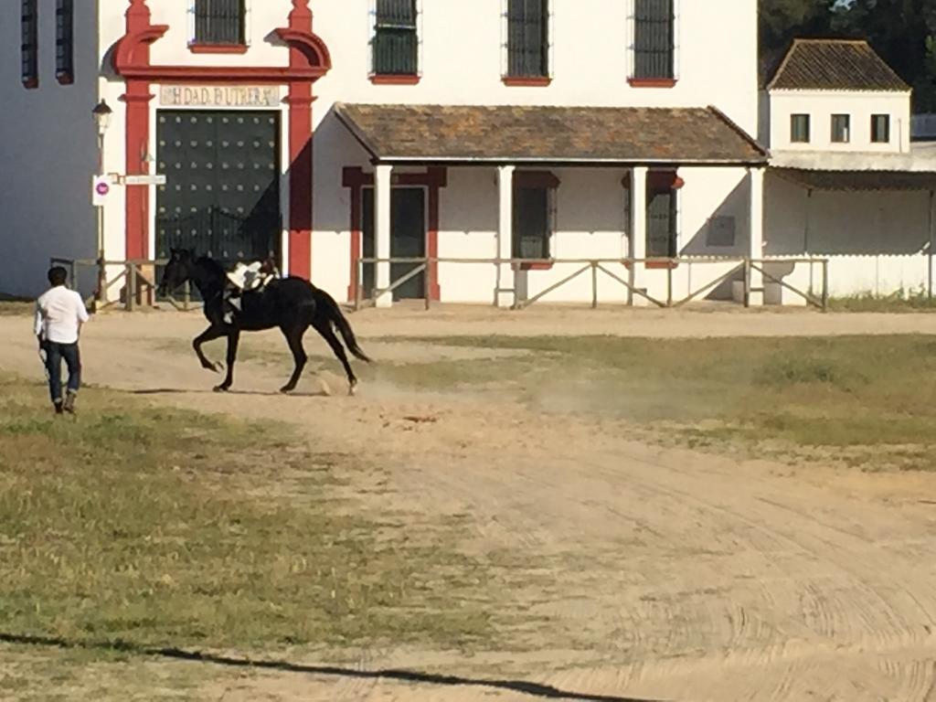 El Rocio Azul Alojamiento Rural المظهر الخارجي الصورة